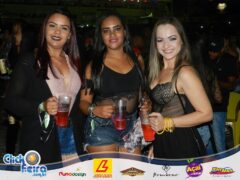 Festa do Bezerro Manhoso